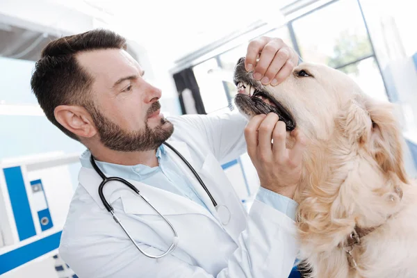 Serious doctor opening mouth of his patient — Stock Photo, Image