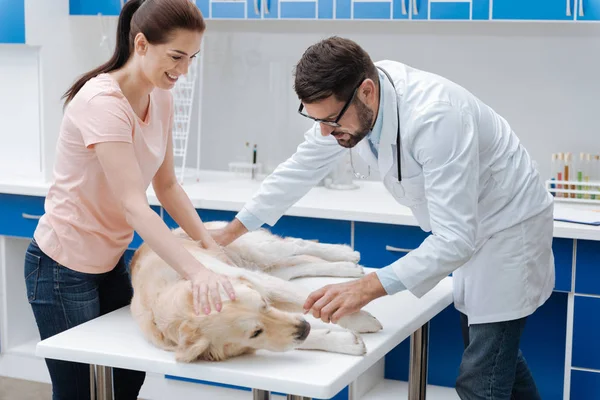 Mulher alegre segurando seu cão preocupado — Fotografia de Stock