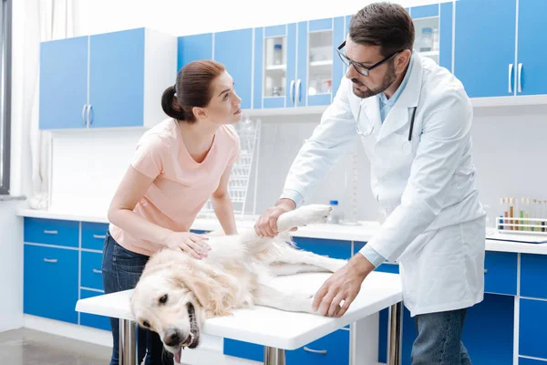 Besorgte Frau hört Tierärztin zu — Stockfoto