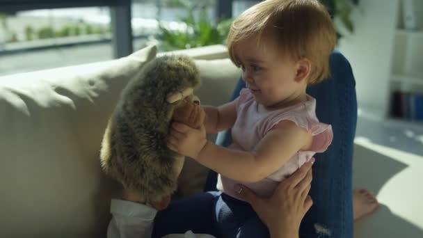 Lovely girl playing with a hedgehog on the sofa — Stock Video