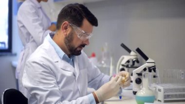 Turnusol kağıdı tüp bırakarak olgun kimyager