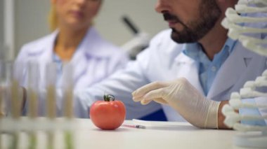 Örnek seyir ve domates ile kimyasal enjekte erkek bilim adamı