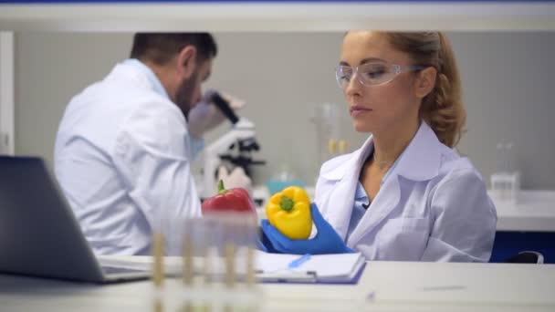 Female researcher comparing peppers and writing down observations — Stock Video