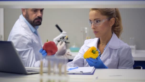 Doordachte mannelijke wetenschapper helpen collega in laboratorium — Stockvideo