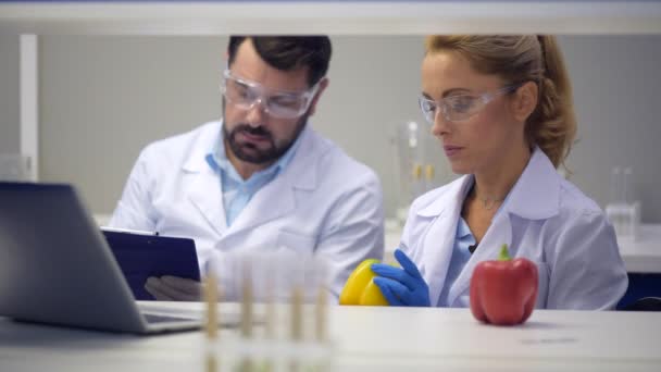 Team van wetenschapper injecteren van chemicaliën in de paprika's in laboratorium — Stockvideo