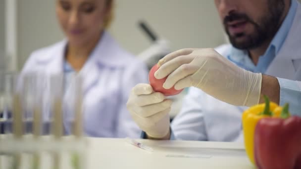 Primer plano del investigador masculino inyectando líquido químico en el tomate — Vídeos de Stock