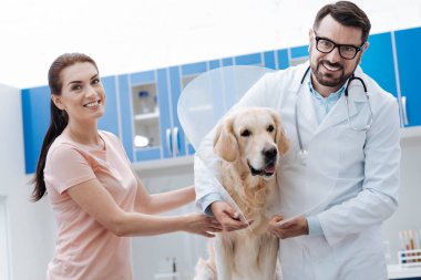 Dolapta sakin duran güzel Labrador