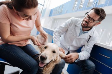 Özenli kadın köpeğini kulak içine arıyorum
