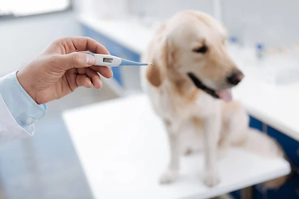 Close up of male hand that holding thermometer — Stock Photo, Image