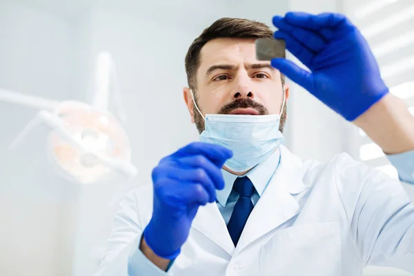 Dentista attento guardando l'immagine a raggi X — Foto Stock