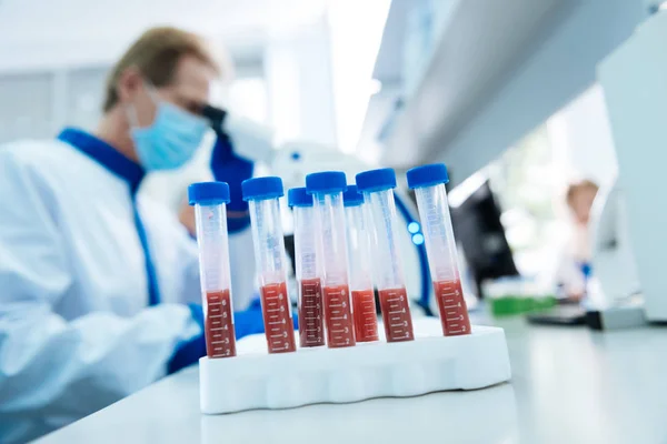 Тестові трубки крові, що стоять на столі — стокове фото