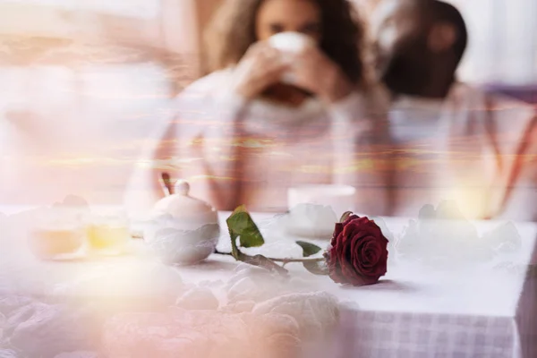 Hermosa rosa roja acostada en la mesa — Foto de Stock