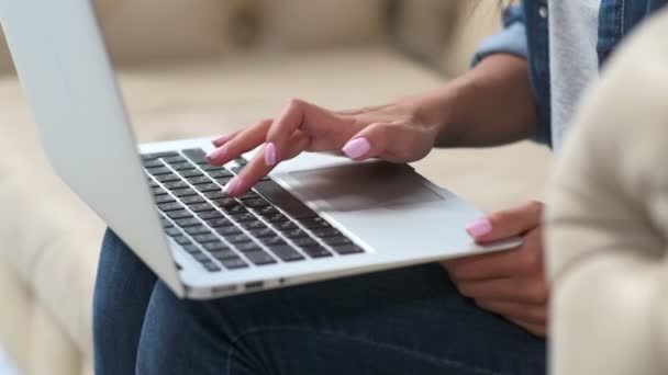 Mujer joven agradable escribiendo en su computadora portátil — Vídeos de Stock