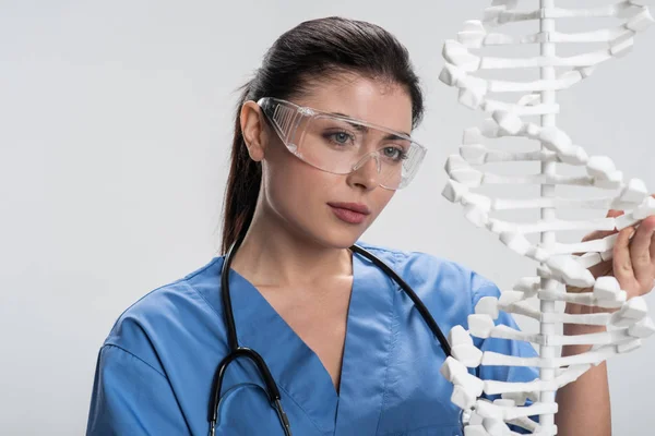 Bella medico femminile utilizzando il modello di DNA — Foto Stock