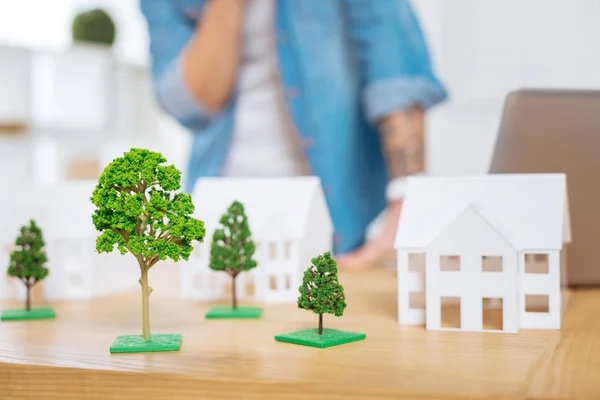 Schöne Miniaturen von Bäumen, die realistisch aussehen, während sie auf dem Tisch stehen — Stockfoto