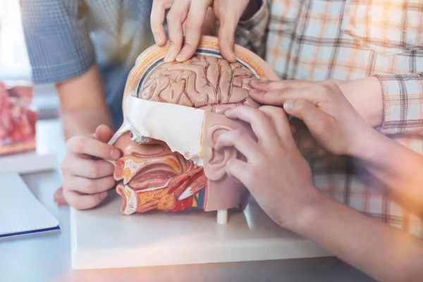 Ispirato studenti dedicati allo studio del cervello umano — Foto Stock