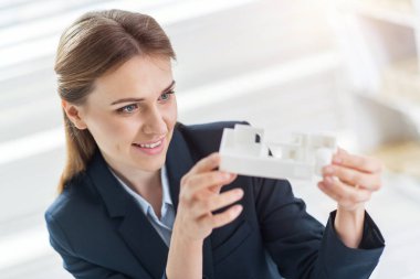 Mutlu mühendis evin model incelenmesi