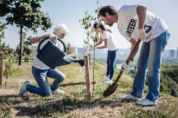 Bonitos voluntarios trabajando duro plantando árboles — Foto de Stock