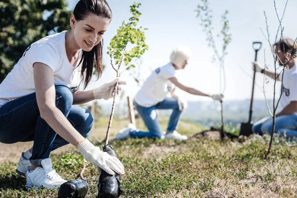 Mujer joven y agradable sosteniendo un árbol — Foto de Stock