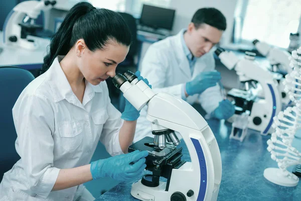 Scienziati seri che lavorano in laboratorio — Foto Stock