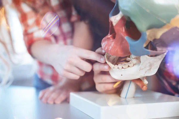 Animado niños inventivos divertirse en la clase de biología — Foto de Stock