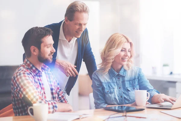 Pleasant colleagues using laptop — Stock Photo, Image