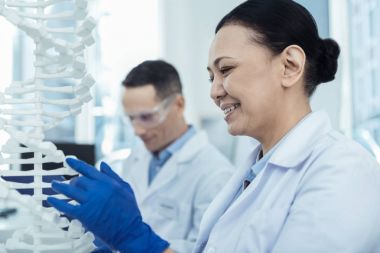 Bir laboratuvarda DNA modeli eğitim olumlu Asyalı kadın