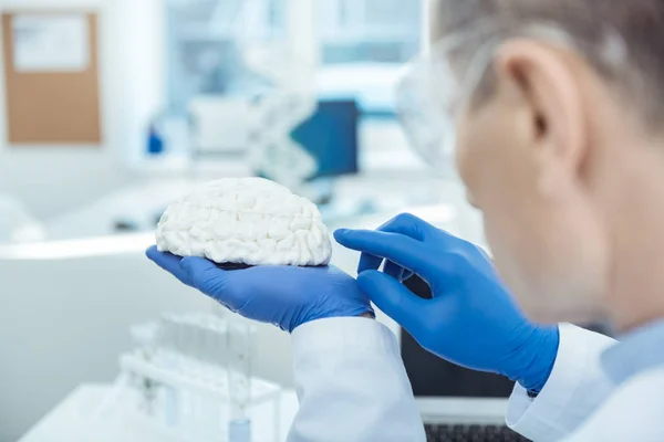 Professional neurosurgeon holding a model of brain — Stock Photo, Image