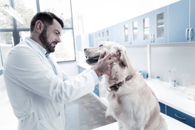 Köpek dişleri görünen güzel yakışıklı adam