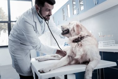 Köpeğe gülümseyen mutlu pozitif veteriner