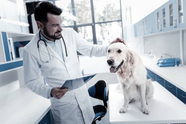 Neşeli güzel hayvan hastalıklarıyla ilgili köpek okşayarak