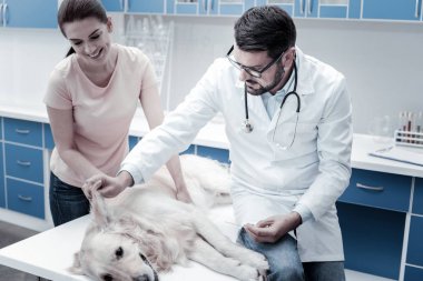 Köpeklerin kulakları tutarak ciddi akıllı adam