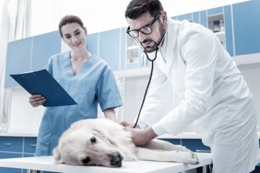 Pozitif güzel Doktor muayene yapıyor