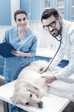 Gülümseyen neşeli pozitif adam