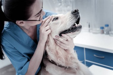 Hoş akıllı kadın köpek incelenmesi