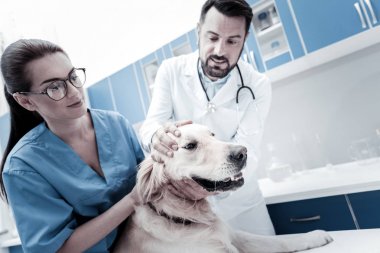 Hoş güzel doktorlar birlikte çalışma