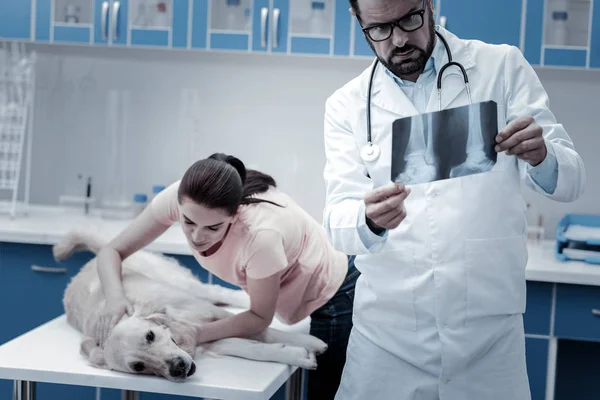 Έξυπνη επαγγελματία κτηνίατρο βάζοντας μια διάγνωση — Φωτογραφία Αρχείου