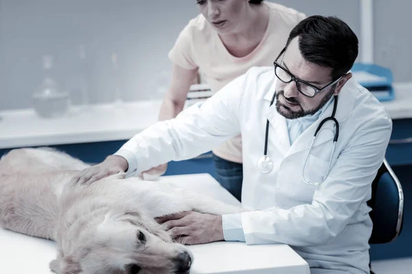 Bom médico inteligente se preocupando com o cão — Fotografia de Stock
