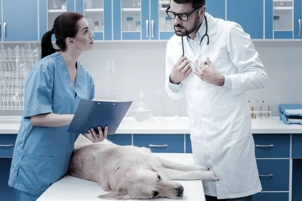 Bom veterinário inteligente falando com seu assistente — Fotografia de Stock