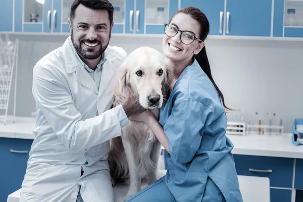 Agradáveis colegas encantados abraçando o cão — Fotografia de Stock