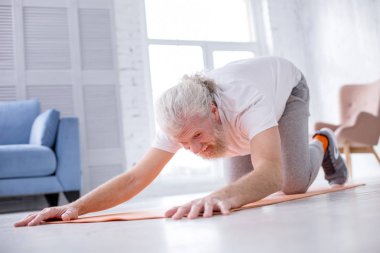 Gri saçlı komuta sizde genişletilmiş köpek yavrusu poz evde pratik