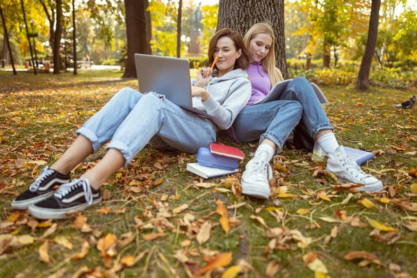 Jóvenes mujeres ocupadas haciendo sus tareas después de clases — Foto de Stock