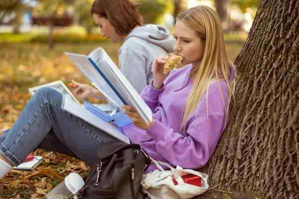 Голодный студент кусает сэндвич во время чтения задания — стоковое фото