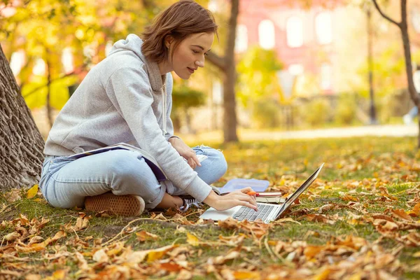 Skoncentrowana kobieta gapiąca się na laptopa — Zdjęcie stockowe