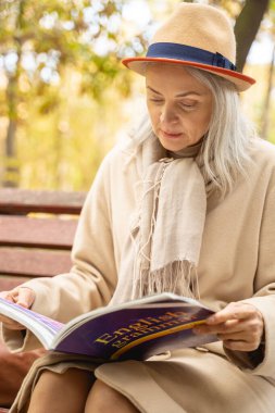 İngilizce dilbilgisi kurallarını gözden geçiren odaklanmış şık bayan.