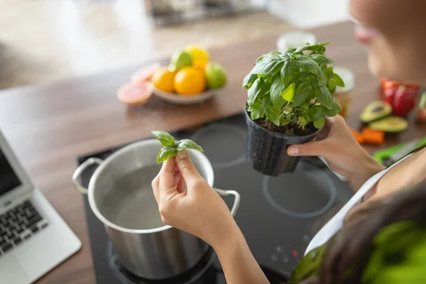 Young cook holding a leaf of basil — Stockfoto