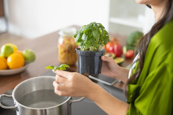 Meisje met een pot basilicum in de keuken — Stockfoto