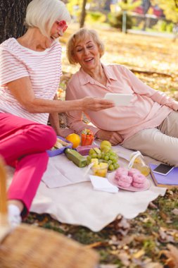 Mutlu arkadaşlar parkta piknik yapıyorlar.