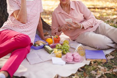 İki arkadaş izin günlerini piknikte geçiriyorlar.