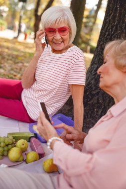 Mutlu kadın pikniği sırasında telefonla konuşuyor.